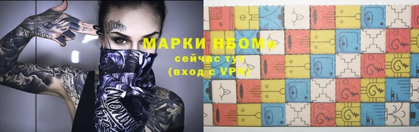 прущие грибы Заволжье