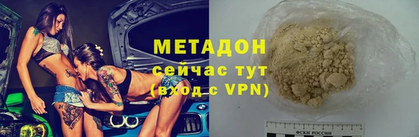 прущие грибы Заволжье