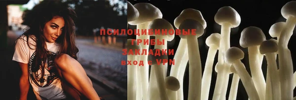 спиды Заводоуковск