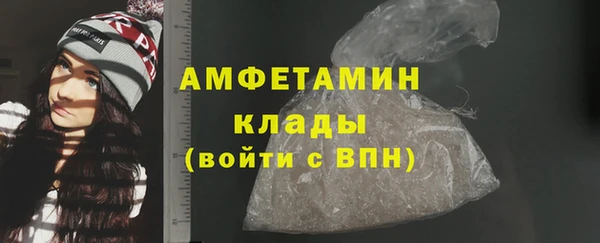 прущие грибы Заволжье