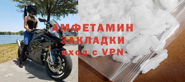 прущие грибы Заволжье
