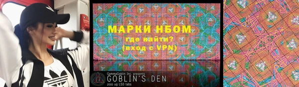 прущие грибы Заволжье