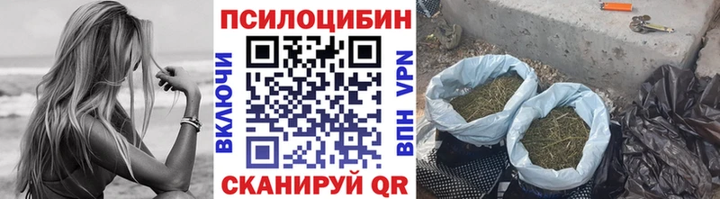 Купить закладки  Южноуральск  Галлюциногенные грибы MAGIC MUSHROOMS 